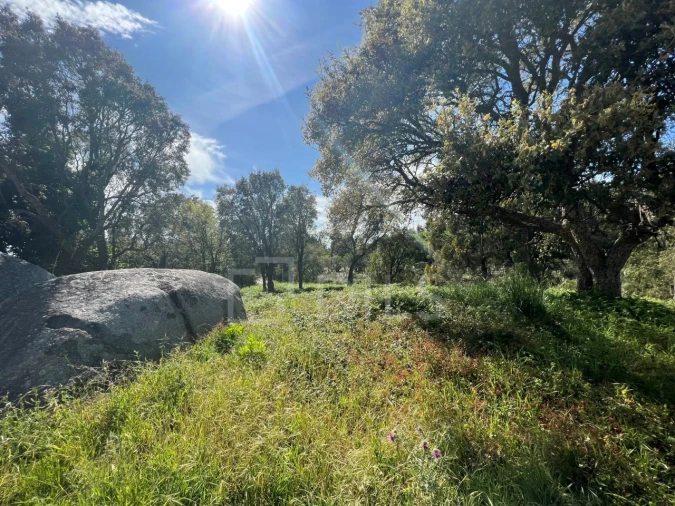 Terreno para Venda em Gulpilhares e Valadares Foto 11