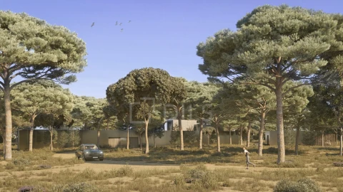 Terreno para Venda em Grândola e Santa Margarida da Serra