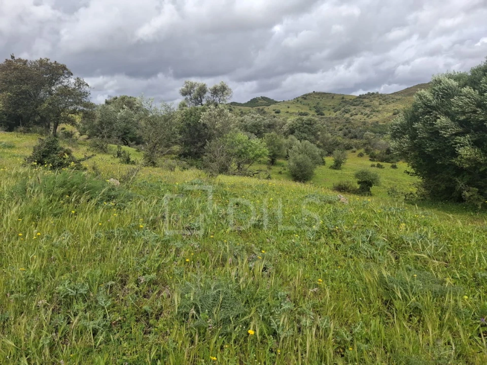 Terreno para Venda em Castro Marim Foto 15