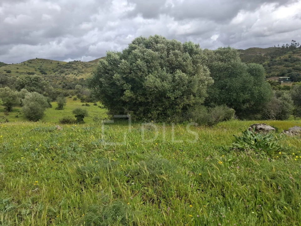Terreno para Venda em Castro Marim Foto 18