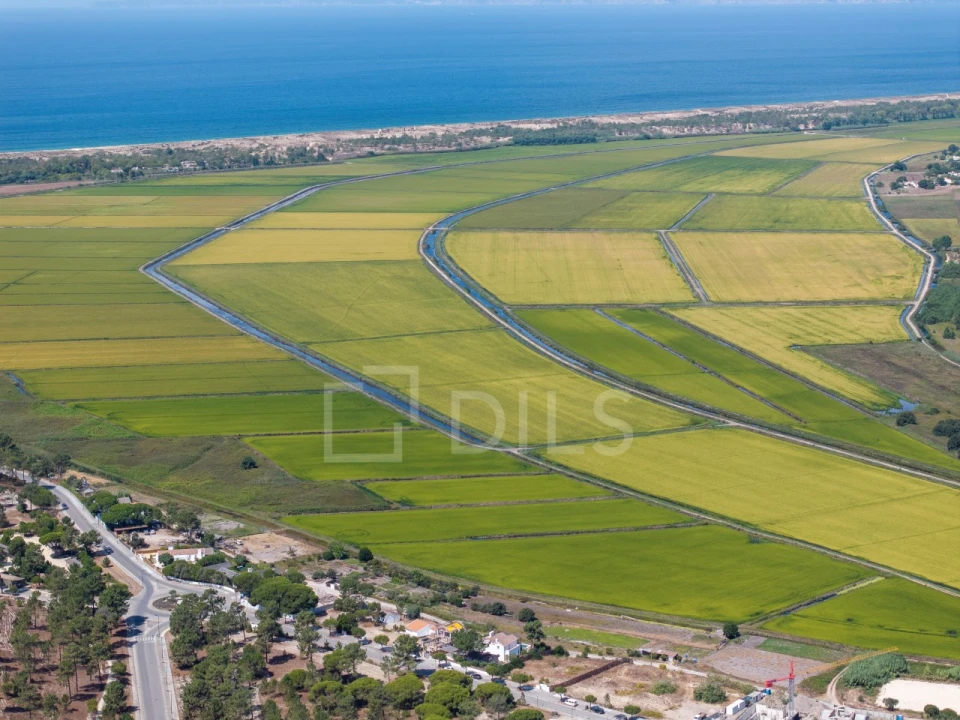 Terreno para Venda em Carvalhal Foto 15