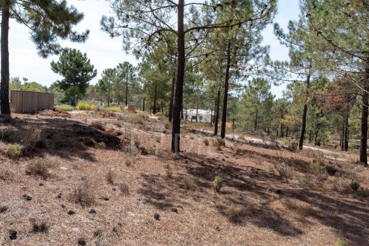 Terreno para Venda em Carvalhal Foto 6