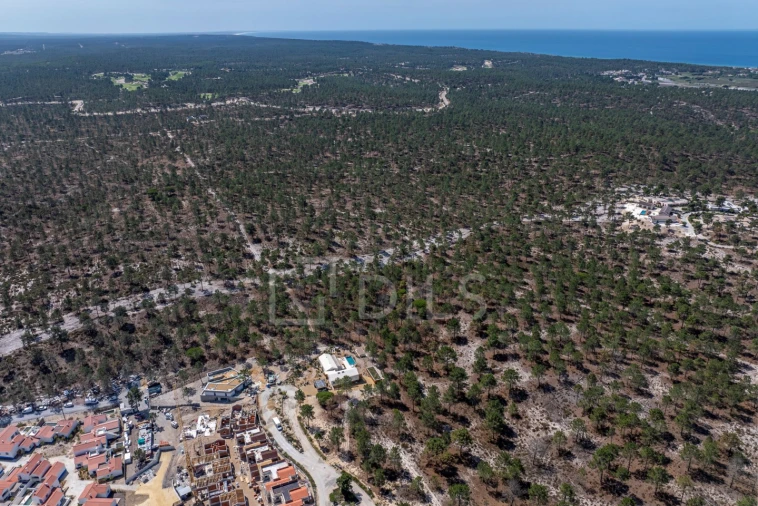 Terreno para Venda em Carvalhal Foto 9
