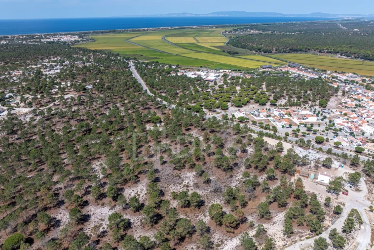 Terreno para Venda em Carvalhal Foto 10
