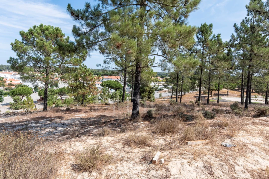 Terreno para Venda em Carvalhal Foto 4