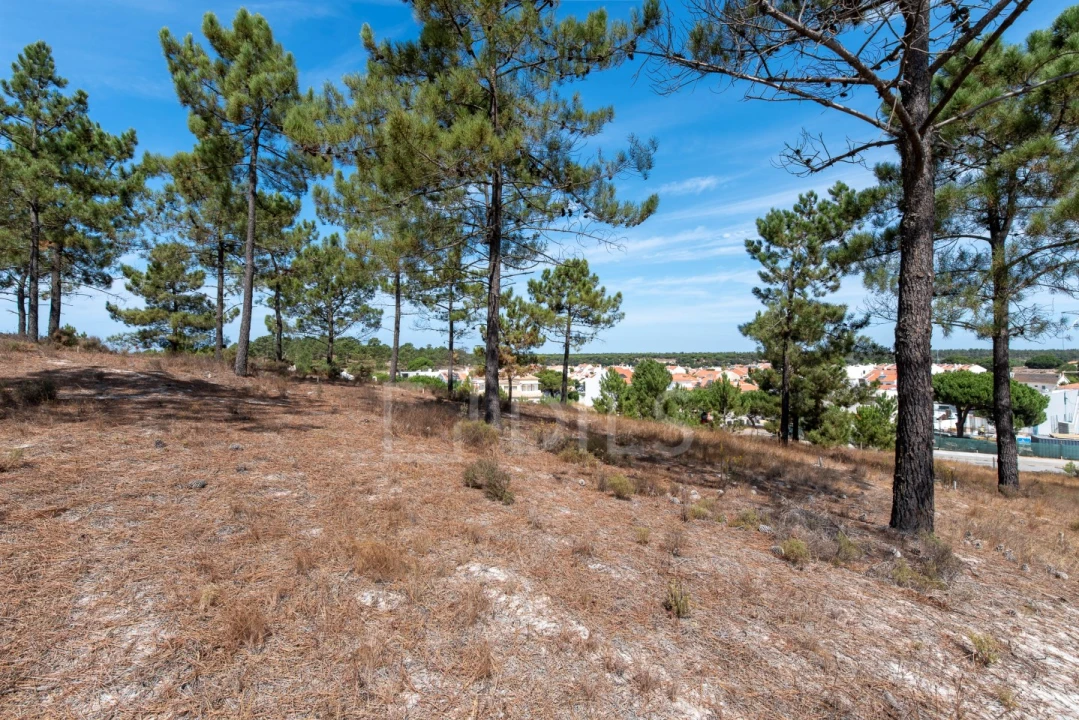 Terreno para Venda em Carvalhal Foto 5
