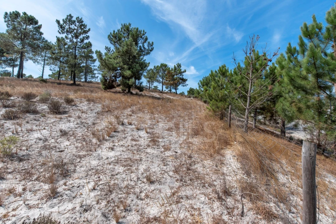 Terreno para Venda em Carvalhal Foto 7