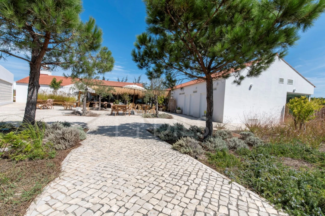 Terreno para Venda em Carvalhal Foto 22