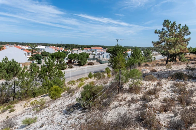 Terreno para Venda em Carvalhal Foto 2