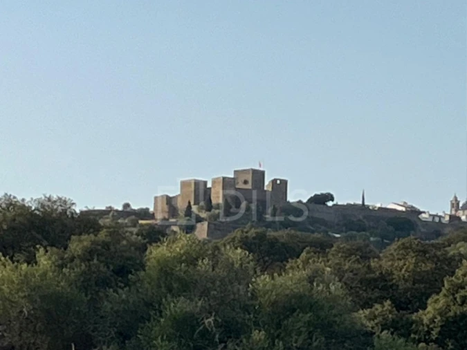 Terreno para Venda em Corval Foto 10