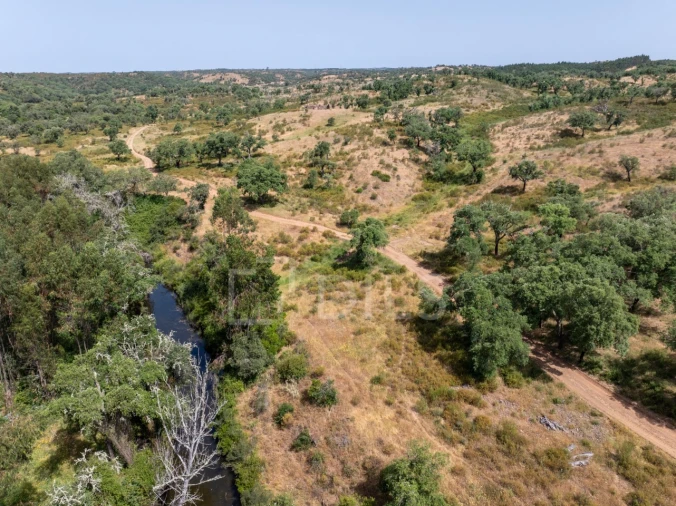 Terreno para Venda em Abela Foto 9