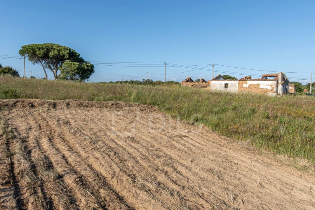 Terreno para Venda em Melides Foto 30