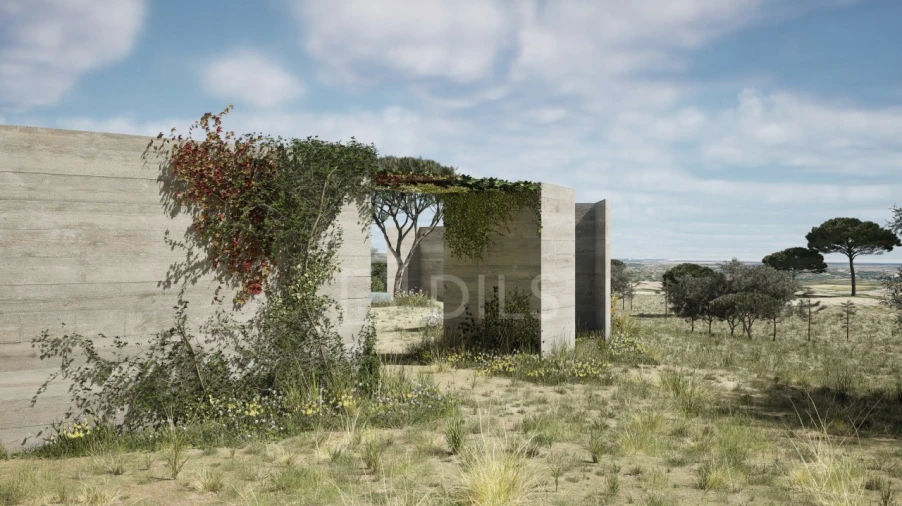 Terreno para Venda em Melides Foto 2