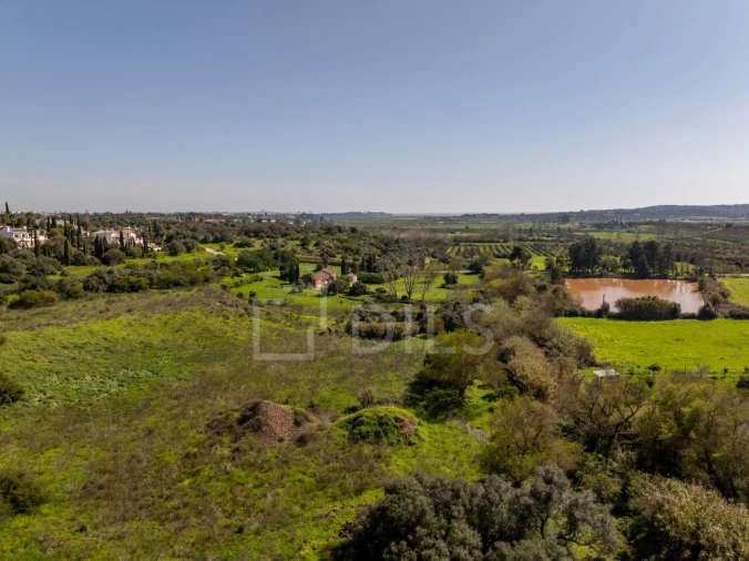 Terreno para Venda em Mexilhoeira Grande Foto 12