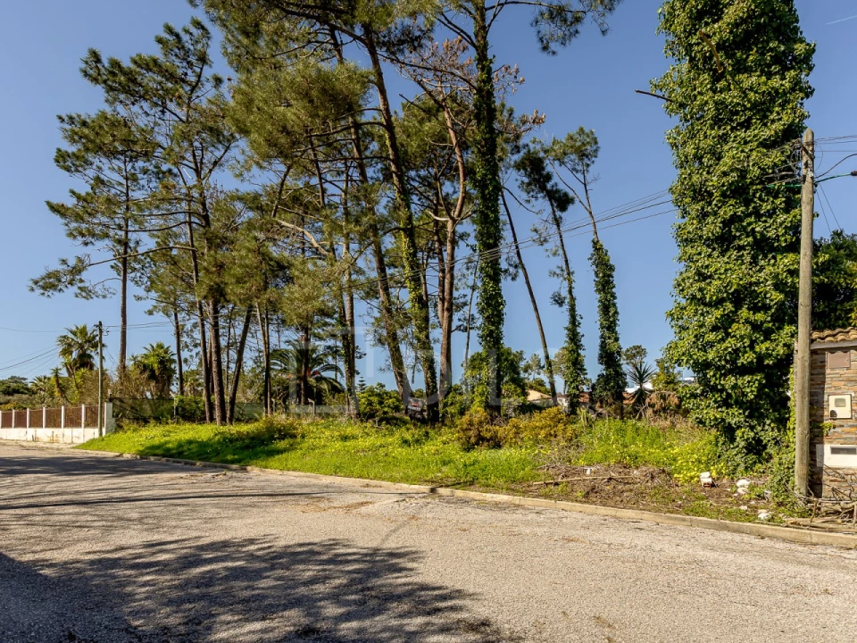 Terreno para Venda em Corroios Foto 7