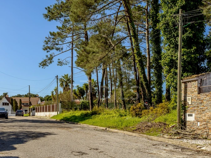 Terreno para Venda em Corroios Foto 9