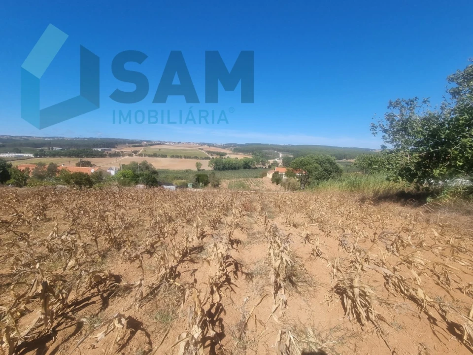 Terreno para Venda em Campelos e Outeiro da Cabeça Foto 11