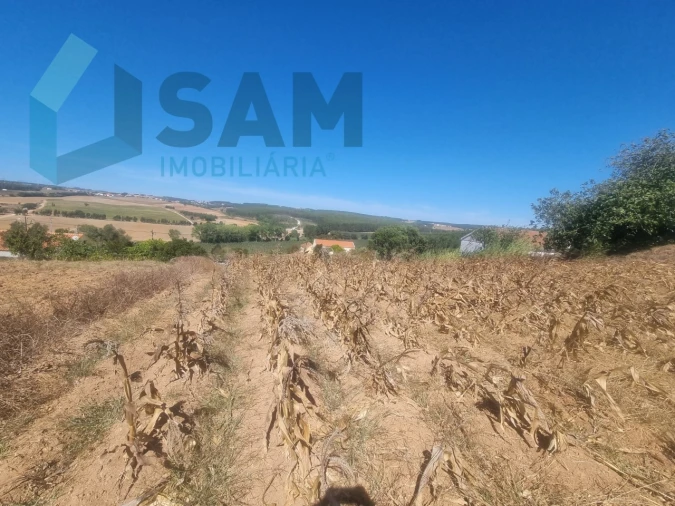 Terreno para Venda em Campelos e Outeiro da Cabeça Foto 6
