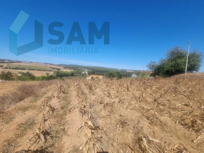 Terreno para Venda em Campelos e Outeiro da Cabeça Foto 8