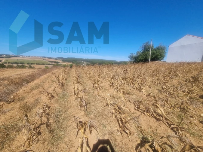 Terreno para Venda em Campelos e Outeiro da Cabeça Foto 10