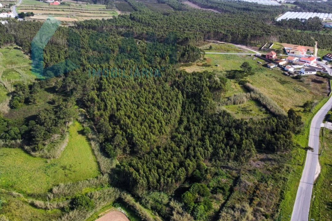Terreno para Venda em A dos Cunhados e Maceira Foto 5