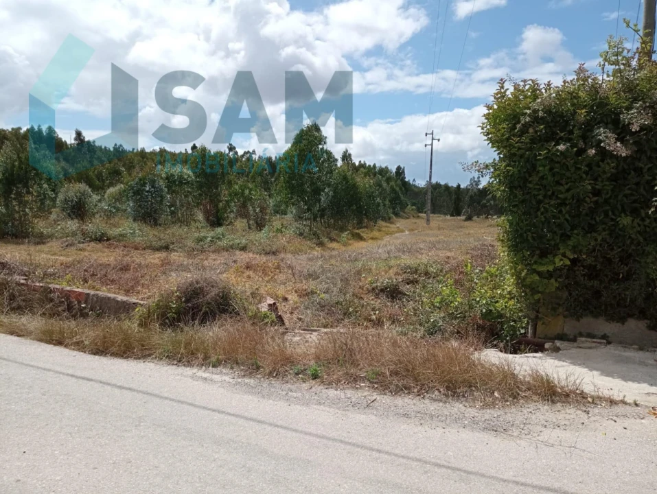Terreno para Venda em Ramalhal Foto 6