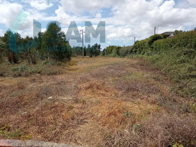 Terreno para Venda em Ramalhal Foto 2