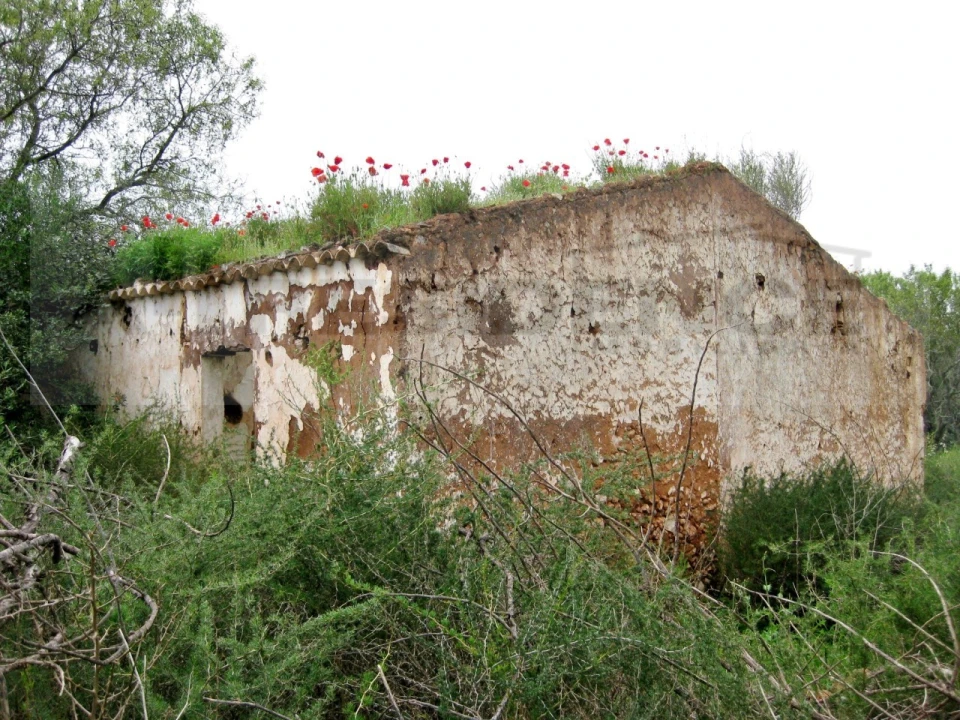 Terreno para Venda em São Bartolomeu de Messines Foto 3