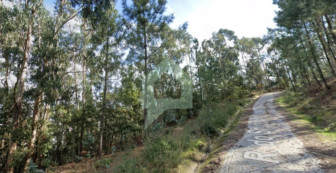 Terreno para Venda em Carvalhal Foto 8