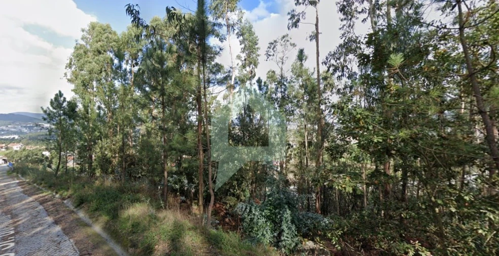 Terreno para Venda em Carvalhal Foto 7