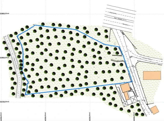 Terreno para Venda em Carvalhal Planta 1