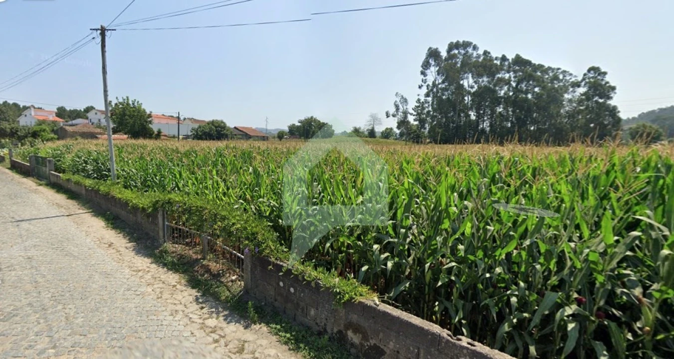Terreno para Venda em Carvalhal Foto 3