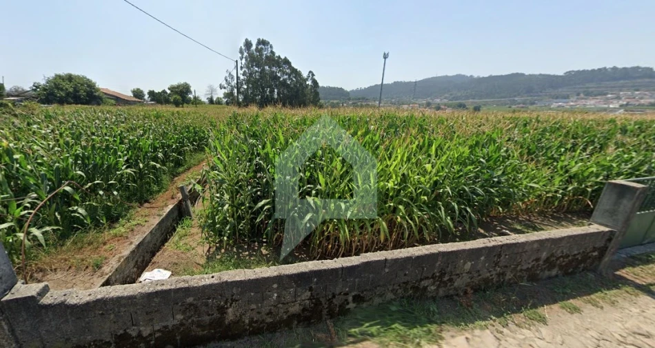 Terreno para Venda em Carvalhal Foto 4