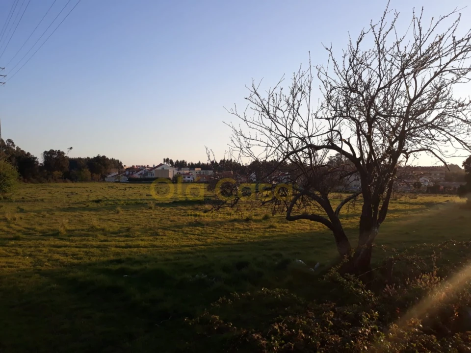 Terreno para Venda em Mafamude e Vilar do Paraíso Foto 5
