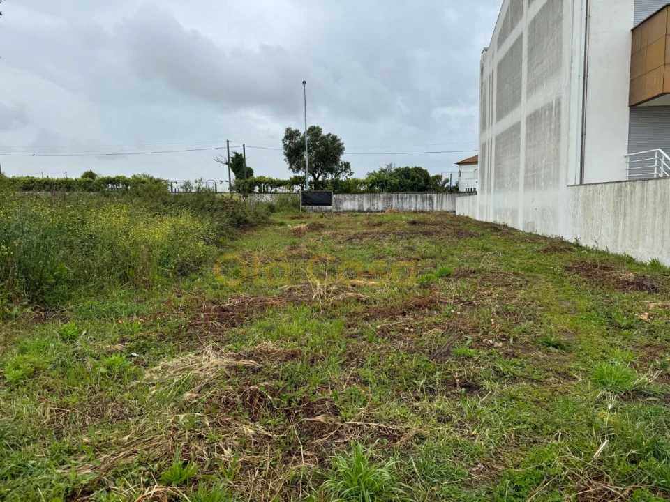 Terreno para Venda em Vila Nova da Telha Foto 9