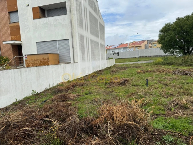Terreno para Venda em Vila Nova da Telha Foto 6