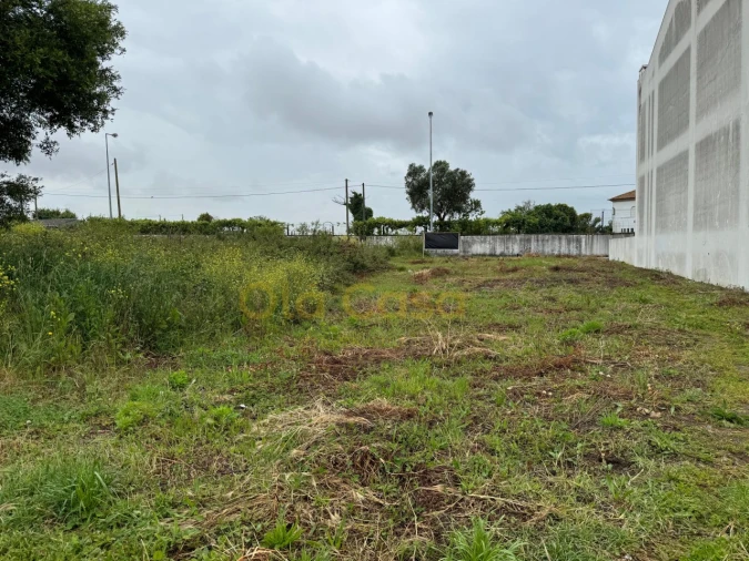 Terreno para Venda em Vila Nova da Telha Foto 11