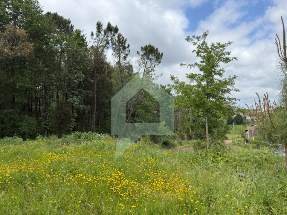Terreno para Venda em Arentim e Cunha Foto 4