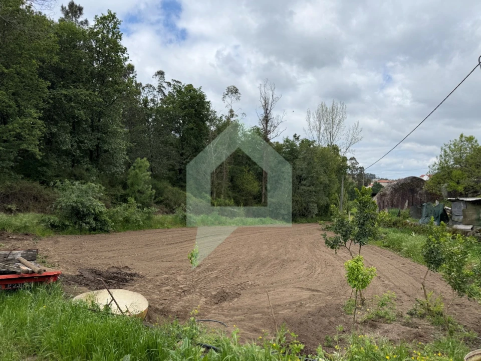 Terreno para Venda em Arentim e Cunha Foto 12