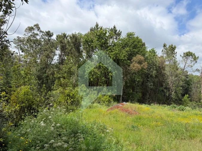 Terreno para Venda em Arentim e Cunha Foto 3