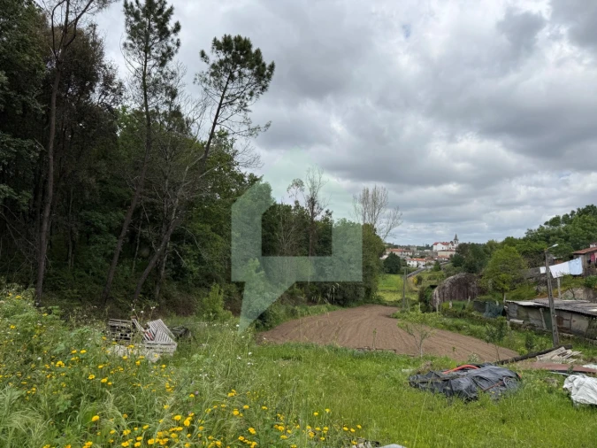 Terreno para Venda em Arentim e Cunha Foto 10