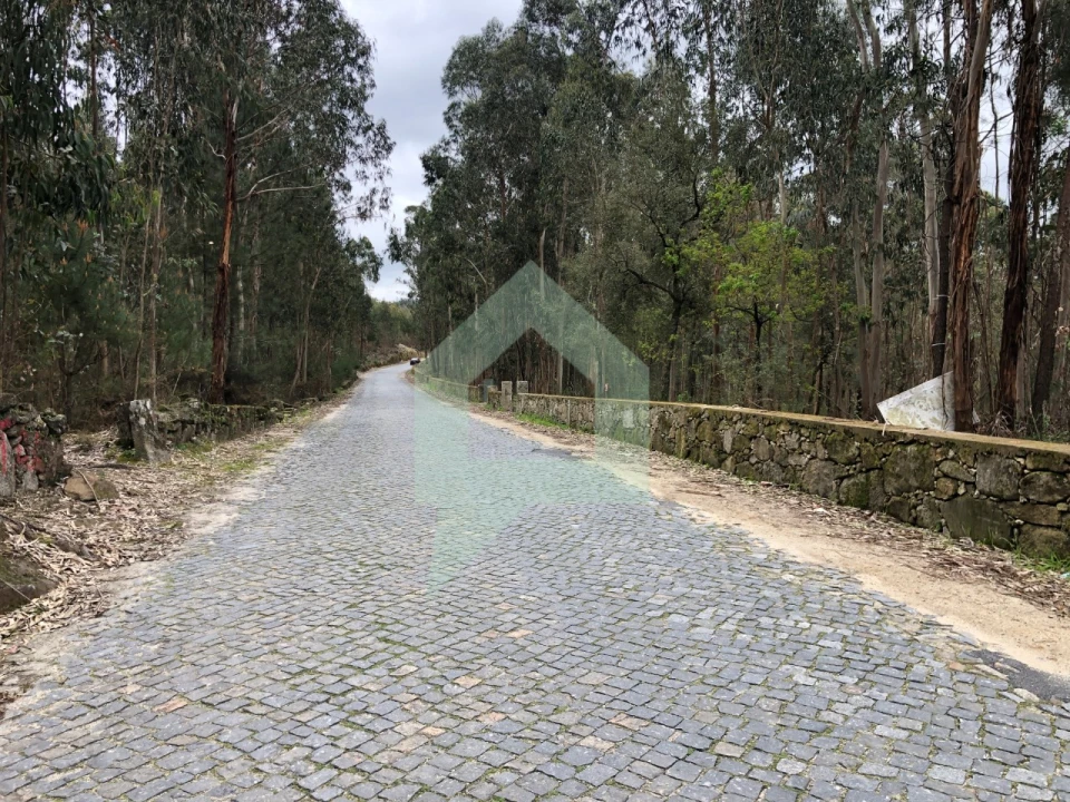 Terreno para Venda em Alvelos Foto 7