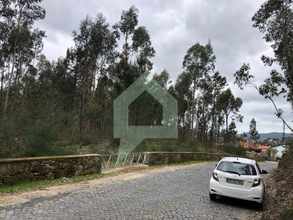 Terreno para Venda em Alvelos Foto 9