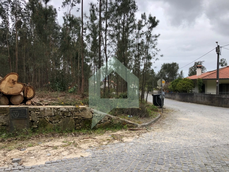 Terreno para Venda em Alvelos Foto 10