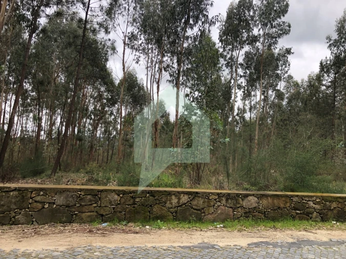 Terreno para Venda em Alvelos Foto 2