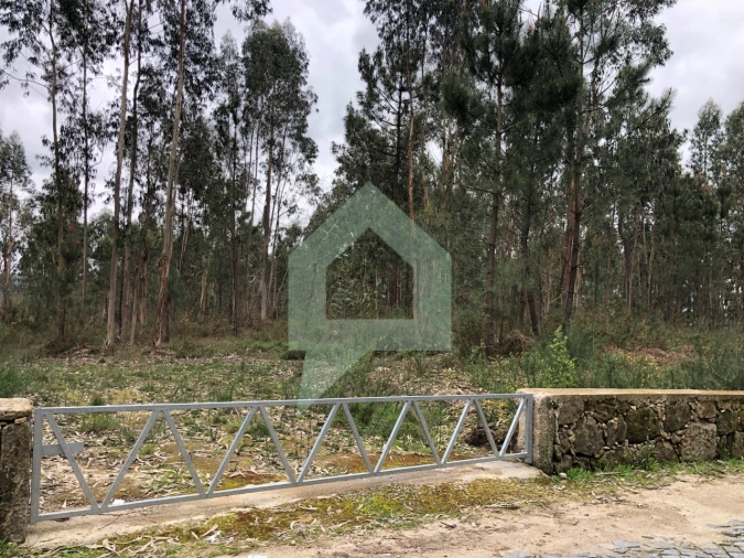Terreno para Venda em Alvelos Foto 6