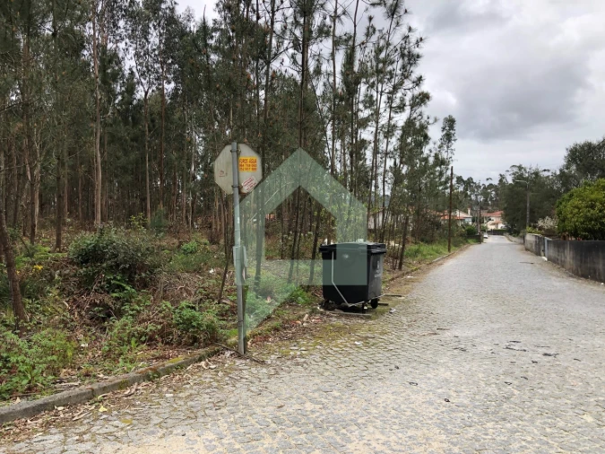 Terreno para Venda em Alvelos Foto 13