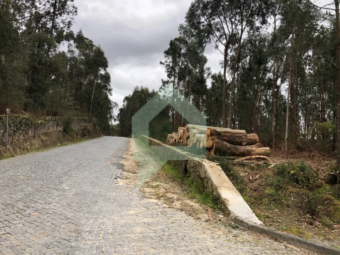 Terreno para Venda em Alvelos Foto 15