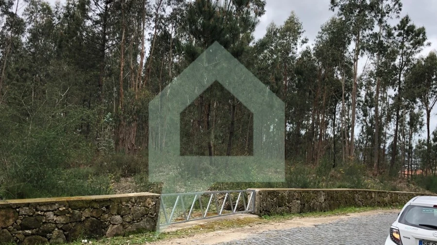 Terreno para Venda em Alvelos