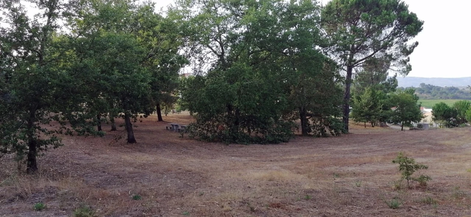 Terreno para Venda em Rio Torto e Lagarinhos Foto 11